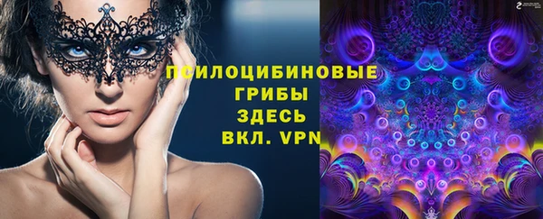 прущие крисы Алексин