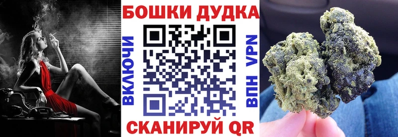 Каннабис SATIVA & INDICA  Перевоз 